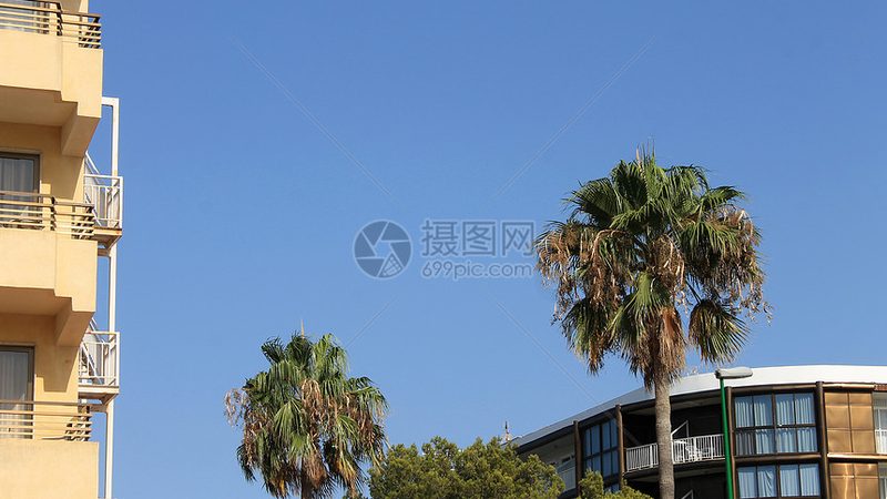 高端定制旅游，打造个性化出行新体验